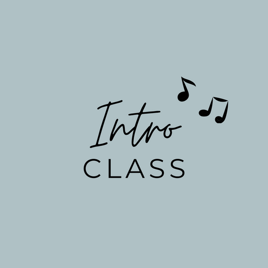 Little Notes Music - Intro Class